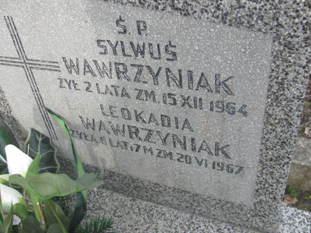 Sylwester Wawrzyniak Pruszków - Grobonet - Wyszukiwarka osób pochowanych