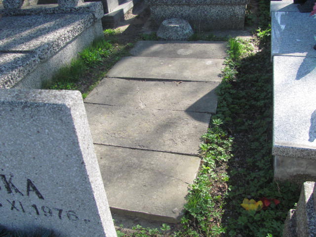 Grób Marek Frydrych