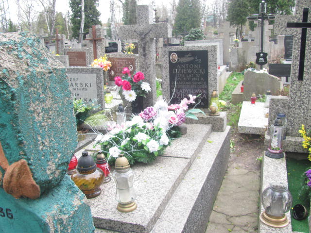 Grób Władysława Dziewicka