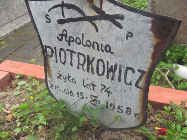 Apolonia Piotrkowicz 1884 Pruszków - Grobonet - Wyszukiwarka osób pochowanych